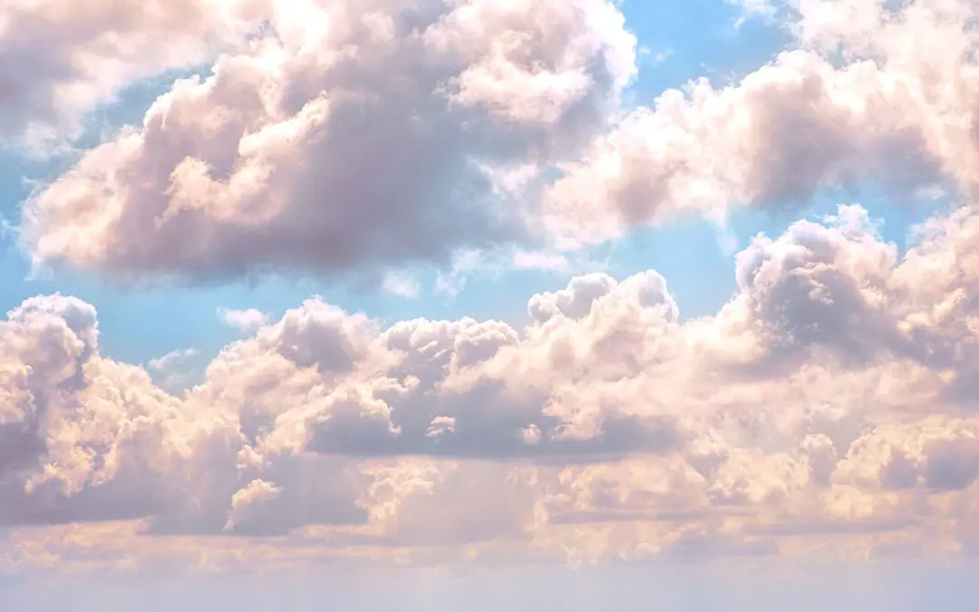 Cloud Logistics Software: Key Benefits of Migrating to the Cloud